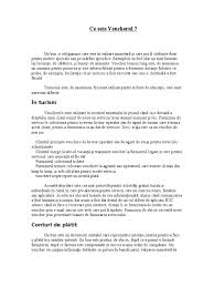 Expert contabil, consultant fiscal, auditor financiar. Ce Este Voucherul