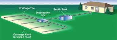 How Often Should I Pump Out My Septic Tank