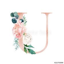 We did not find results for: Floral Alphabet Blush Peach Color Letter U With Flowers Bouquet Composition Unique Co In 2021 Watercolor Flowers Pattern Floral Monogram Letter Alphabet Wallpaper