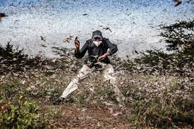 Today, category winners of the 2021 world press photo of the year competition were announced. Word Press Photo Ausstellung Stadt Balingen Tragt Das Finanzielle Risiko Fur Zwei Jahre Balingen Umgebung Schwarzwalder Bote