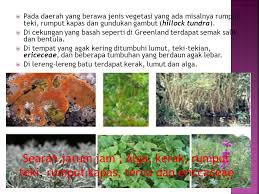 Check spelling or type a new query. Bioma Adalah Ekosistem Besar Dengan Daerah Luas Terdiri Dari Flora Dan Fauna Yang Khas Bioma Merupakan Ekosistem Ekosistem Yang Terbentuk Karena Ppt Download