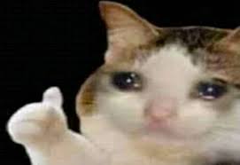 Thumbs Up Crying Cat Blank Template Meme Templates Subscribe for more funny videos and help me achieve all my aspirations and all my.