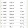 As long as yours is feeding well, making urine and stool, and doesn't drop more by two weeks, i expect a baby to return to birth weight. 1