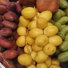 Hasil gambar untuk kurma muda di karawang