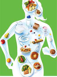 Gizi adalah elemen yang terdapat dalam makanan dan dapat dimanfaatkan secara langsung oleh tubuh seperti halnya karbohidrat, protein, lemak, vitamin, mineral, dan air. De Giziest Definisi Gizi Nutrisi Dalam Kehidupan