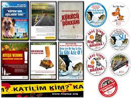 Sahipli Hayvana Eziyet Halinde Yapilacaklar Idari Makamlara Basvurularimiz Hukuk Haytap Hayvan Haklari Federasyonu