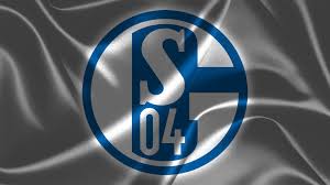 Perfect screen background display for desktop, pc, mobile device, laptop, smartphone, android phone, iphone, computer and other devices. Fc Schalke 04 Fussballclub Gelsenkirchen Schalke 04 E V Bilder