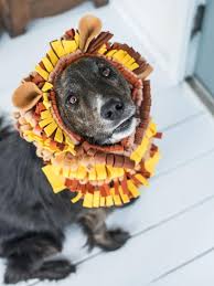 Maybe you would like to learn more about one of these? Halloween Pet Costume No Sew Lion S Mane Hgtv