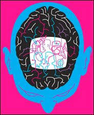 Watching Tv Makes You Smarter New York Times Magazine Social Media Books Kids Reading