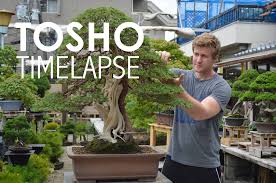 Eisei En Bonsai Tosho Timelapse Facebook