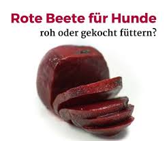 Die rote beete besticht durch ihre vielfältigkeit. Rote Beete Fur Hunde Roh Oder Gekocht Futtern Dogco De