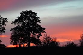 Maybe you would like to learn more about one of these? A Simple Landscape Shot Of A Sunset I M Good With Titles Flickr