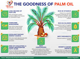See more ideas about palm oil, palm, palm fruit oil. My Palm Oil Council On Twitter The Goodness Of Malaysianpalmoil Lovemypalmoil Sayangisawitku Source Bernamadotcom