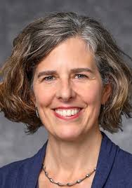 Democracy Renewal Project