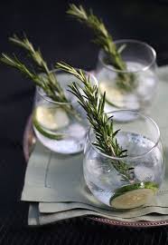 Recipe Cucumber Rosemary Gin And Tonic Recipe Gin And Tonic Tonic Recipe Gin