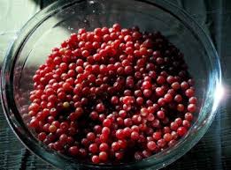 Tea And Food Kill And Eat Autumn Olive Autumn Olive Food Wild Food