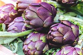 Due to hot weather conditions, we are unable to ship most plant items in july and august. How Do I Grow Artichoke Planting Guide Joe Gardener