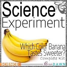 Decomposition is the process of raw organic matter breaking down into simpler matter over time. Banana Experiment Worksheets Teaching Resources Tpt