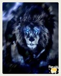 The Lion Blue With Black Color Lion Wildlife Nature Art Animals Lions Lionking Africa Love Tattoo Safari Animal Lion Painting Lion Art Lion Artwork