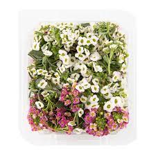 We did not find results for: Edible Exotic Flowers Woolworths Co Za