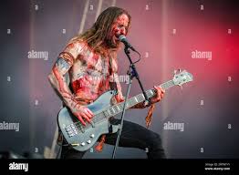 Image result for Strychnos lucens