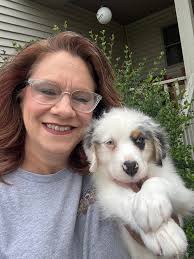 Countryside Kennels and Aussies-4U