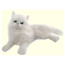 5 out of 5 stars. Plush White Persian Cat Stuffed Animal Persian Cat White Cat Plush Stuffed Animal Cat