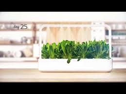 1x click and grow smart garden 9. Click And Grow Review Smart Garden 3 And 9 Pro Smart Garden Home