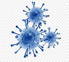 Closer inspection of the pdf content reveals the malicious link as well as the url of the tool used to generate the pdf from html content. Virus Sinciziale Respiratorio Malattie Infettive Infezione Influenzale Coronavirus Vettoriale Scaricare Png Disegno Png Trasparente Blu Png Scaricare