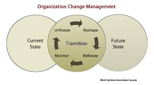 Organizational Change Acceleration Work Systems Associates