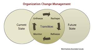 organizational change acceleration work systems associates