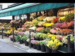 Looking to buy flowers for birthday. Flower Shops Near Me Https Www Flowerwyz Com Flower Shops Online Flower Stores Htm Wholesale Flower Des Flower Shop Cheap Flowers Online Wholesale Flowers
