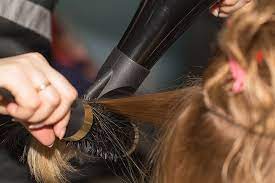 These include vet hospitals, full service dog grooming salons, positive dog training classes. 11 Best Hair Salons In Connecticut
