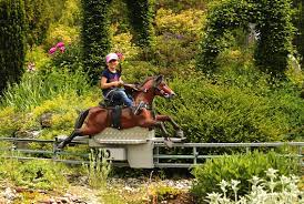 der flotte reitspass fur unsere kleinen gaste allensbach tierpark zoo freizeitpark bodensee kinder ausflugsziel ferien p freizeitpark tierpark bodensee
