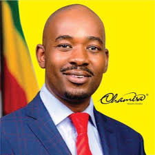 🔴Our problems start when we take our politicians as celebrities & compare  them with the madam boss of this world! ✍️Chamisa is demonstrating how hard  life in the country is, trying to