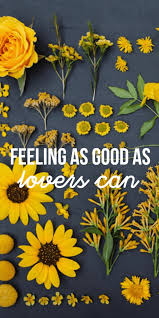 Aesthetic wallpaper yellow sunflower 2834604 hd wallpaper backgrounds download. Tumblr Sunflowers Quotes Sunflower Yellow Tumblr Aesthetic Wallpapers Top Free Sunflower Dogtrainingobedienceschool Com