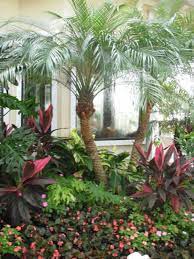 We did not find results for: Gallery Tropical Garden Houston By Jardina Garden Center Houzz