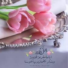 488 likes 5 comments ذكر الله thker allah10 on instagram ممنوع الإعلان في التعليقات الصور للجميع bird pictures art lessons islamic pictures