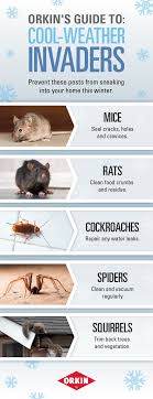 Find out why and how they've built a reputation through extensive training and customer service. How To Keep Pests Out Of Your Home This Winter Termite Control Termite Treatment Pests
