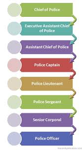 Police Officer Rank Structure Related Keywords Suggestions