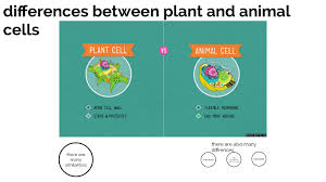 Check spelling or type a new query. Plant And Animal Cell Differences By Samuel True