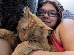 Rehoming a loving Manx cat in Edmonton area