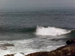 This book is a must read for any fan of the cinema world. Home Movie 010074 001 1960s Waves Breaking At Bald Head Free Download Borrow And Streaming Internet Archive