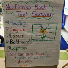 Fiction Nonfiction Anchor Chart My Not