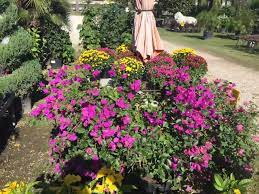 We did not find results for: Paradise Palms At York Creek Garden Center Home Facebook