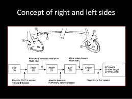 Basic Hemodynamic Monitoring For Nurses