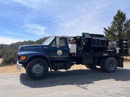 Image result for Blue 1995 Fleet