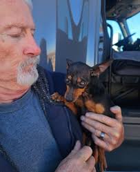 Brownie has been found, thanks to the community