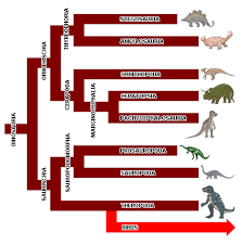 sauropod dinosaurs dinosaur periods chart alnwadi