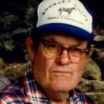 Louis Alvin Addison Sr Obituary